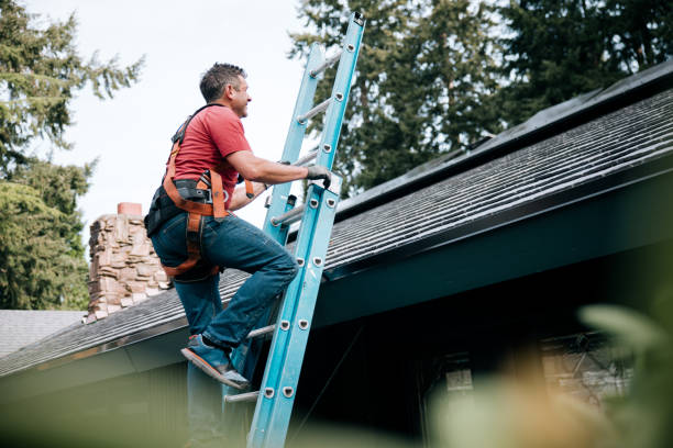 Best Roof Insulation Installation  in Orem, UT